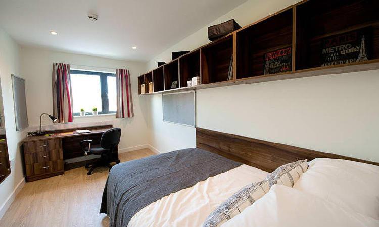 Zeni 5 Bed Apartment In Central Exeter Bagian luar foto